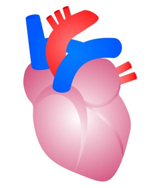 Renk kalbinin vektör çizimi