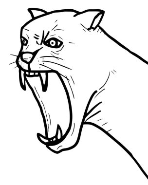 Panter vektör resimlemesini çiz