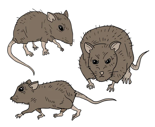 Três Mouses Ilustração Vetorial —  Vetores de Stock