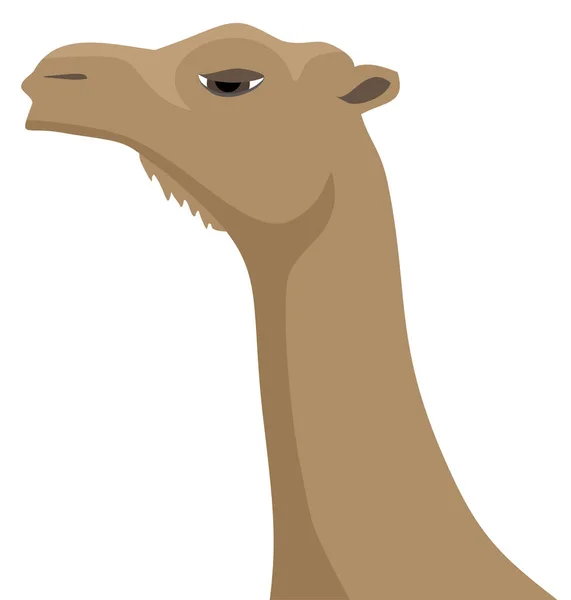 Face Camel Vector Illustration — Stock Vector