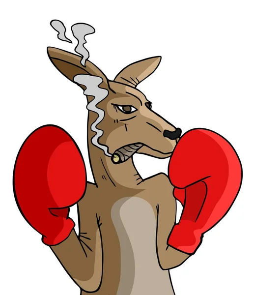 Ilustracja Kangura Czerwonych Rękawiczkach Bokserskich — Wektor stockowy