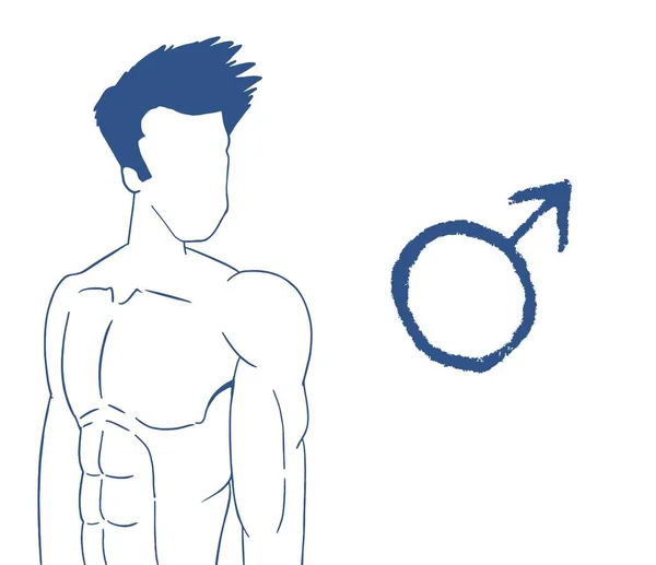 Návrh Vektorové Ilustrace Lidského Těla — Stockový vektor