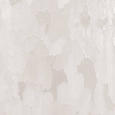 Eski kağıt vektör illüstrasyonu