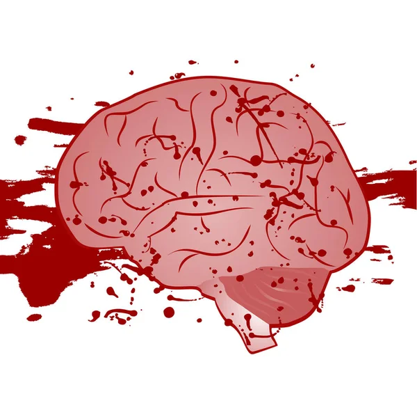 Cerebro Con Ilustración Vectores Sanguíneos — Vector de stock