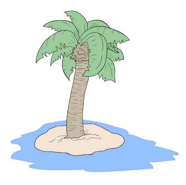 Palm Praia Vetor Ilustração — Vetor de Stock