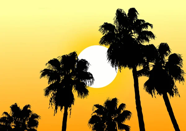 Oasis Desert Sun Vector Illustration — Vettoriale Stock