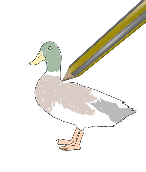 Paint Duck Draw — Stock Photo, Image