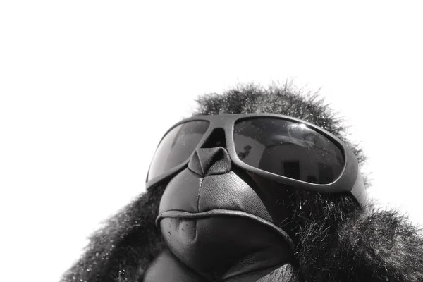Gorila Engraçado Com Óculos Sol — Fotografia de Stock