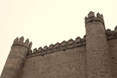 Ortaçağ şatosunun güzel bir resmi.