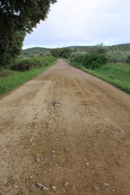 Kırsal kesimdeki fotoğraf detaylarının güzel bir resmi.