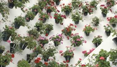 NIce imajının NIce imajı. NIce imajı yok.