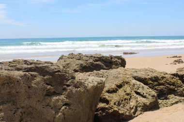 Sahildeki taşların güzel görüntüsü.