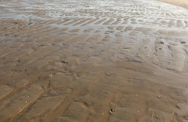 Plaj kumunun NIce görüntüsü