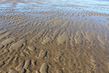 Plaj kum fotoğrafının NIce görüntüsü