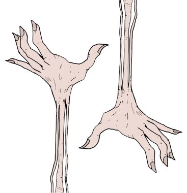 Yaratıcı karakter ayrımı