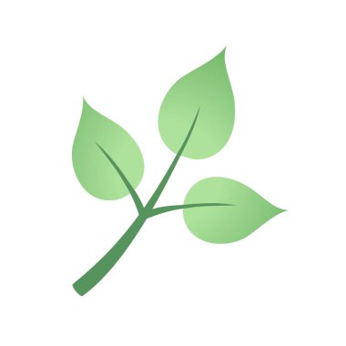 Bitki tasarımının yaratıcı bozulması