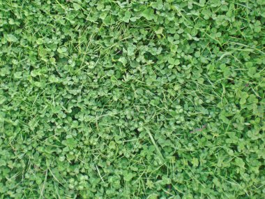 Yaratıcı konsept tarzının güzel bir imajı