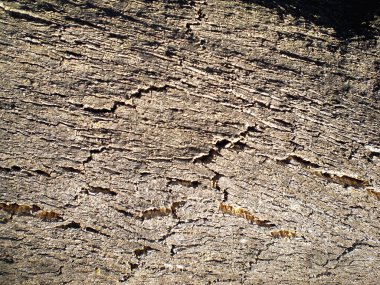 Yaratıcı konsept tarzının güzel bir imajı