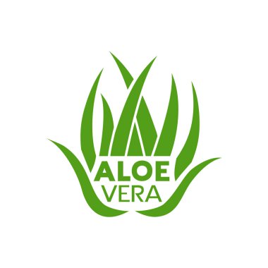 aloe vera simgesinin yaratıcı tasarımı