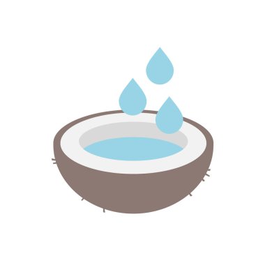 Hindistan cevizi suyu çizimi tasarımı