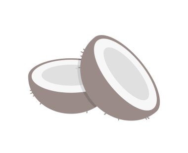 Hindistan cevizi düz illüstrasyon tasarımı