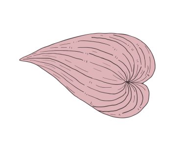 Fantezi cinsel organ çizimi tasarımı