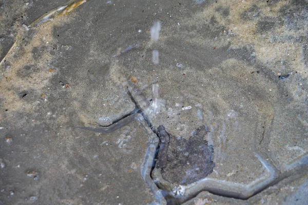 Su damlaları beton tabakaya damlıyor.