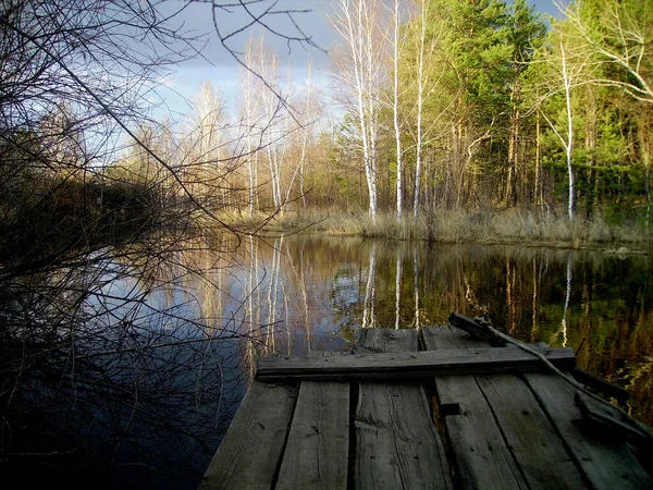 Jezioro Jest Oświetlone Przez Słońce Las Białe Pnie Drzew Odbicie — Zdjęcie stockowe