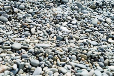 Web afişi soyut yuvarlak çakıl taşları deniz dokusu arkaplanı