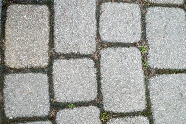 taş yol parlak renkler