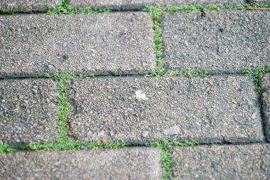 Çimenli eski bir tuğla dokusu.