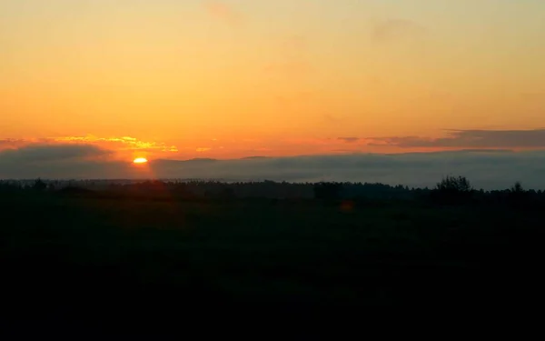 Закат Восход Солнца Весеннем Поле Зеленой Травой Ивами Облачным Небом — стоковое фото