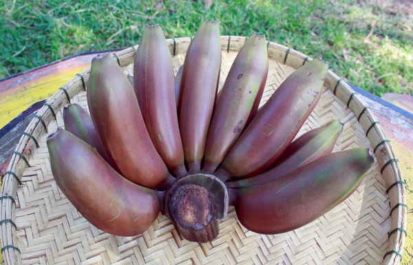 red bananas fruit