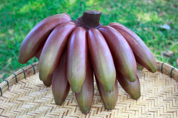 Röda bananer frukt — Stockfoto