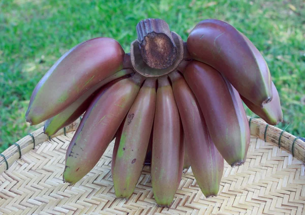 Röda bananer frukt — Stockfoto