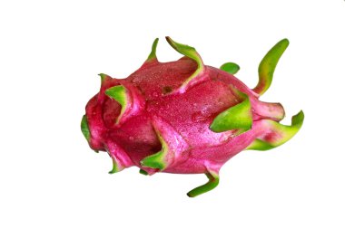 Hylocercus undatus beyaz bir arka plan üzerinde