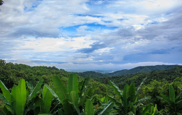 Kabut di lembah — Stok Foto