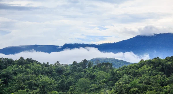 Nebel über dem Tal — Stockfoto