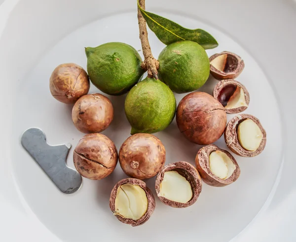 Vyloupané a para ořechy macadamie — Stock fotografie