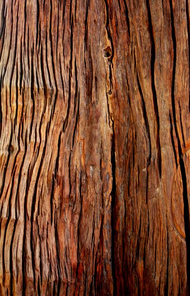 Wood background Showcase — Stock Photo, Image