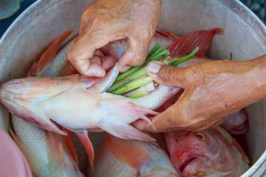 Kadının ellerini otlar bir balık