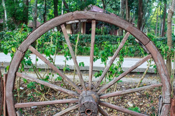 Roue de chariot en bois dans le jardin — Photo