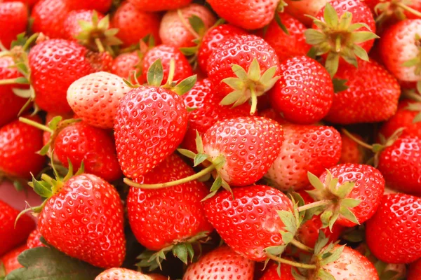 新鲜草莓的背景 — 图库照片
