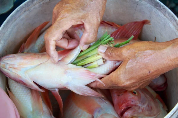 Las manos de la mujer ponen las hierbas en un pez — Foto de Stock