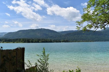 Wolfgangsee 'nin güzel, berrak sularına bakın.