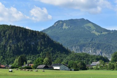 Arka planda dağ olan bir ev.