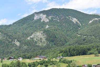 Arkasında dağ olan bir tarla.