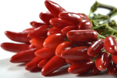 Baharatlı kırmızı biberler demet