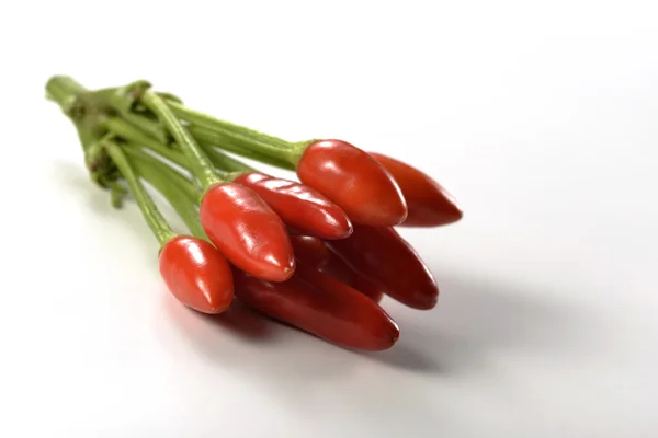 Bouquet de piments rouges épicés — Photo