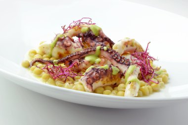 Zollino cüce bezelye ahtapot